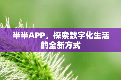 半半APP,探索数字化生活的全新方式 半半APP,探索数字化生活的全新方式