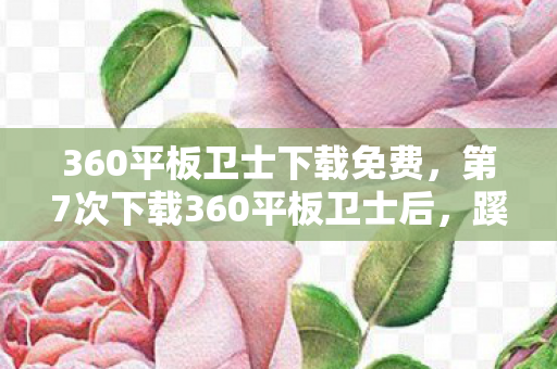 第7次下载360平板卫士后图片