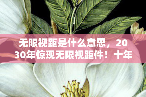 2030年惊现无限视距件图片