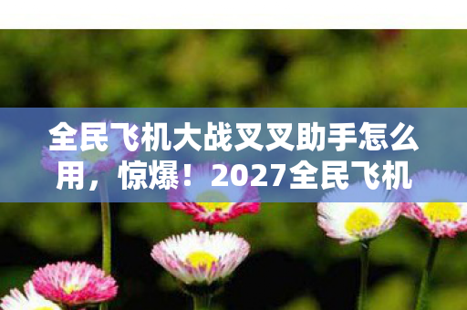 2027全民飞机大战叉叉助手竟藏着这些逆天功能图片