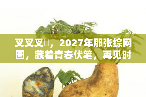 2027年那张综网图图片