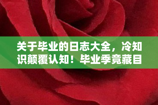毕业季竟藏目瞪口呆的炸弹级游戏设计真相图片