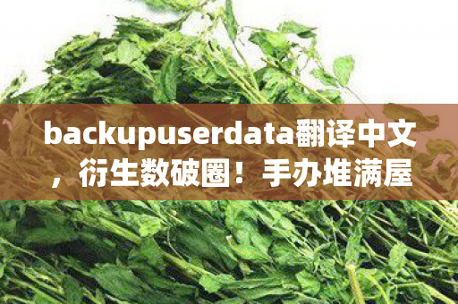 backupuserdata翻译中文图片