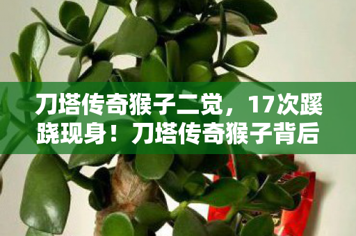 刀塔传奇猴子背后真相图片