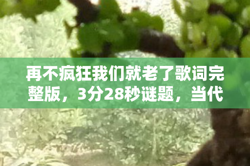 再不疯狂我们就老了歌词完整版图片
