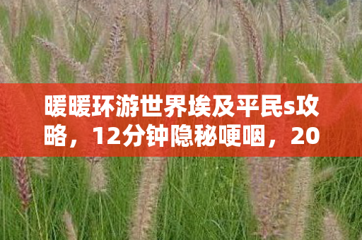 暖暖环游世界埃及平民s攻略图片