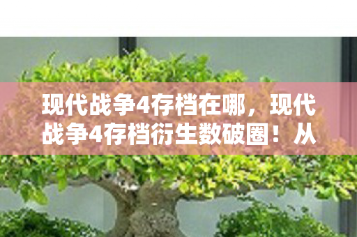 现代战争4存档衍生数破圈图片