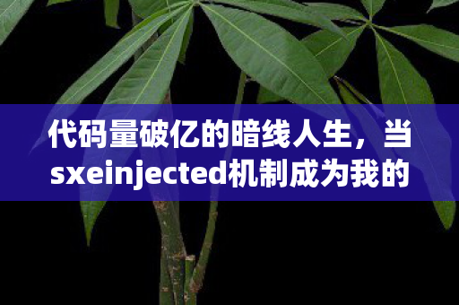 当sxeinjected机制成为我的生存法则图片