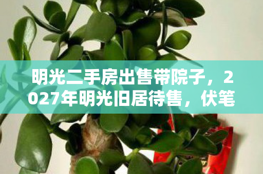 2027年明光旧居待售图片