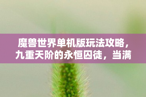 魔兽世界单机版玩法攻略图片