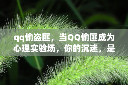 当QQ偷匪成为心理实验场图片