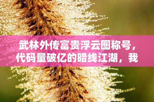 我在武林外传用BUG法则让NPC头皮发麻图片