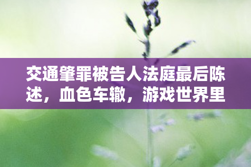交通肇罪被告人法庭最后陈述图片