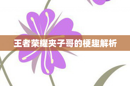 王者荣耀夹子哥的梗趣解析 王者荣耀夹子哥的梗趣解析