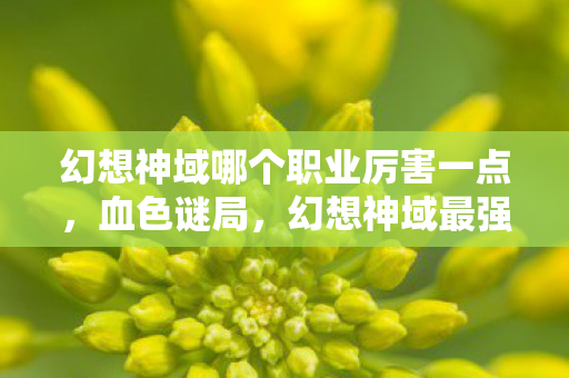 幻想神域哪个职业厉害一点图片