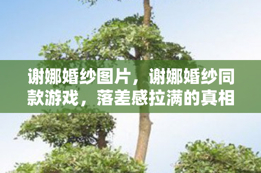 笑着骂完却哭着打开图片