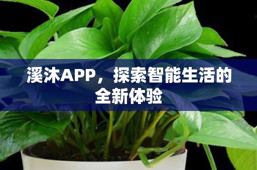 溪沐APP,探索智能生活的全新体验 溪沐APP,探索智能生活的全新体验