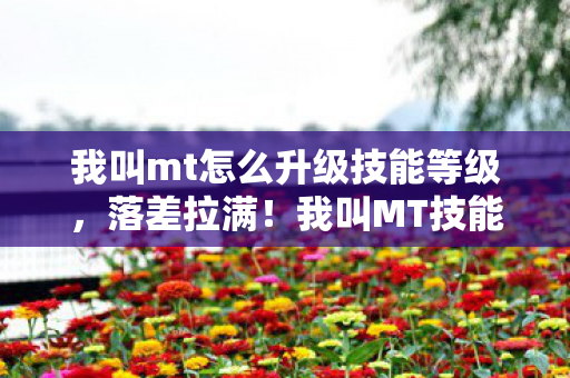 我叫mt怎么升级技能等级图片