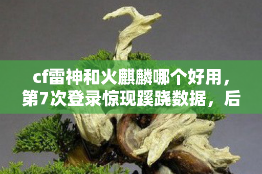 cf雷神和火麒麟哪个好用图片