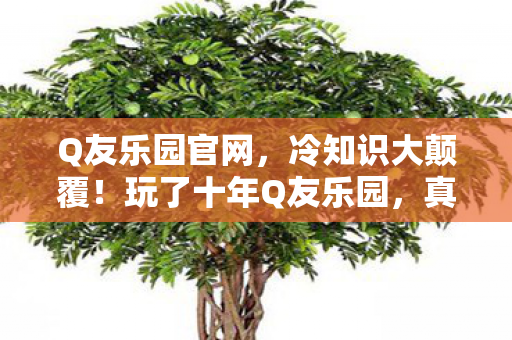 玩了十年Q友乐园图片