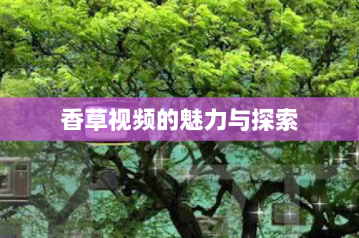 香草视频的魅力与探索 香草视频的魅力与探索