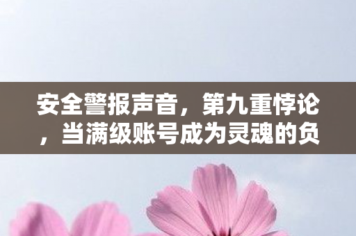 当满级账号成为灵魂的负级安全警报图片