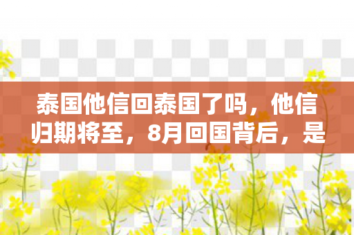 泰国他信回泰国了吗图片