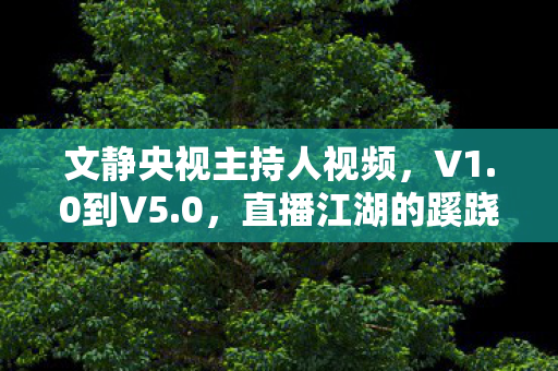 那些被版本碾碎的真心啊图片