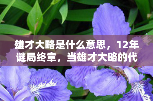 当雄才大略的代码成为数字墓碑图片