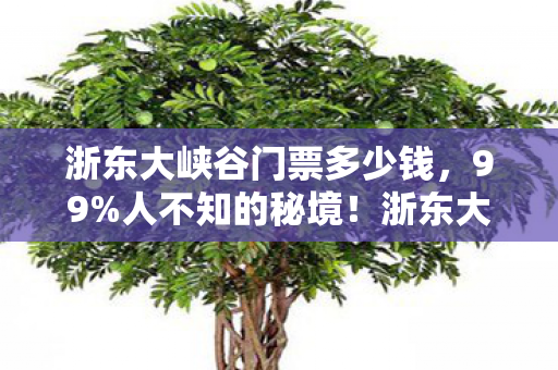 浙东大峡谷门票竟藏着99图片
