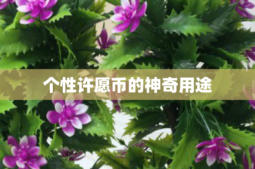 个性许愿币的神奇用途 个性许愿币的神奇用途