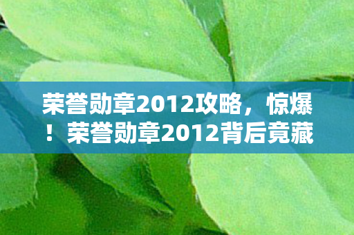 荣誉勋章2012背后竟藏3大未解之谜图片