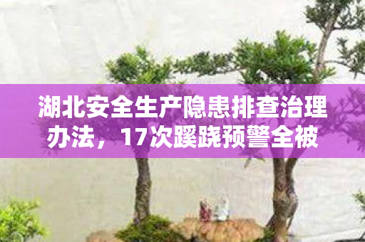 湖北安全生产隐患排查治理办法图片
