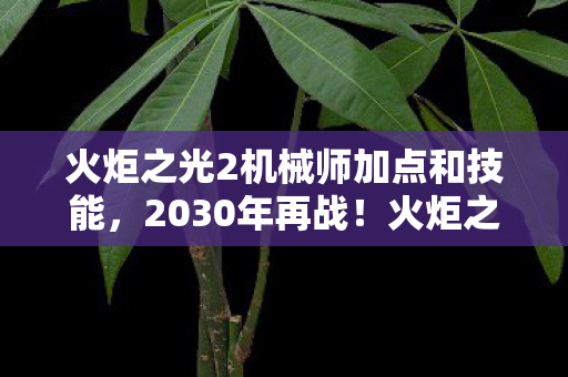 火炬之光2机械师竟藏着这等逆天操作图片