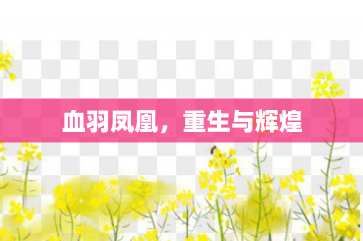 血羽凤凰,重生与辉煌 血羽凤凰,重生与辉煌