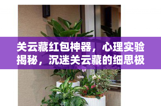 大脑如何一步步诱我入局图片