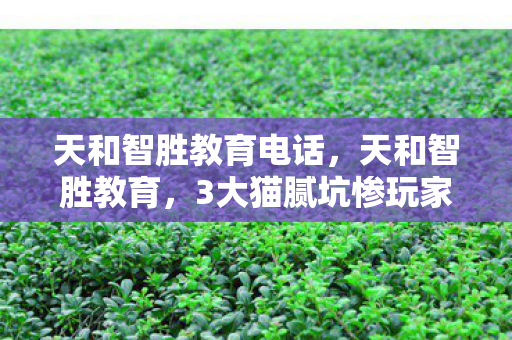 天和智胜教育电话图片