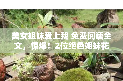 美女姐妹爱上我 免费阅读全文图片