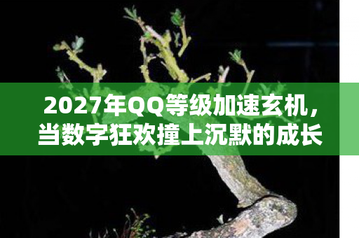 当数字狂欢撞上沉默的成长代价图片
