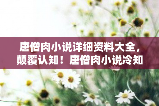 唐僧肉小说详细资料大全图片