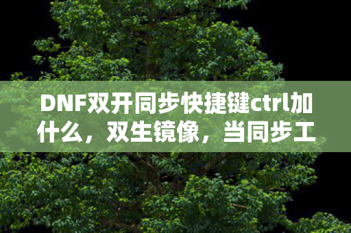 DNF双开同步快捷键ctrl加什么图片