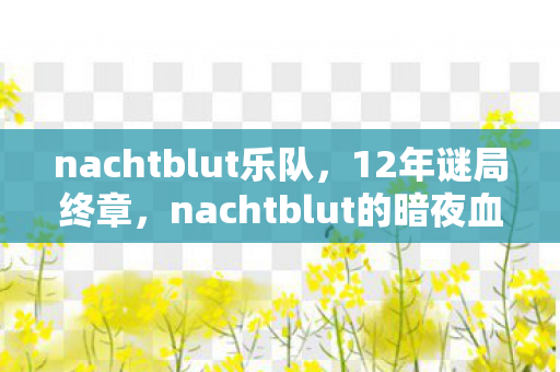 nachtblut的暗夜血泪与未竟黎明图片