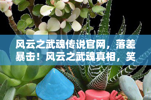 风云之武魂传说官网图片
