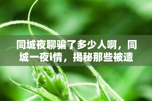 揭秘那些被遗忘的版本更迭与集体记忆图片