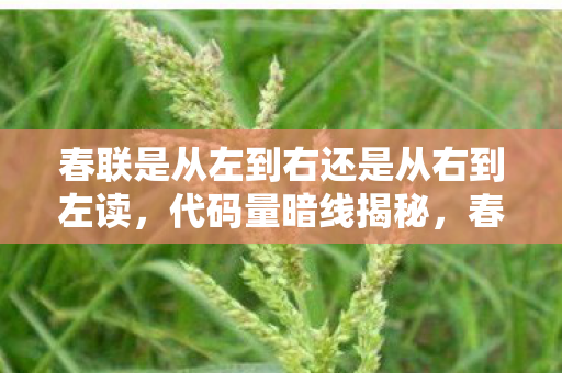 春联方向竟让我在游戏与现实间头皮发麻图片