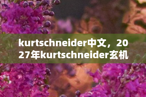 2027年kurtschneider玄机暗藏图片