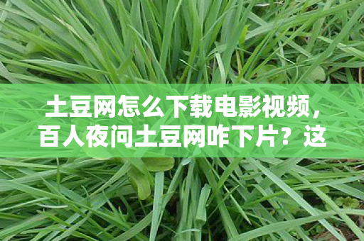 土豆网怎么下载电影视频图片