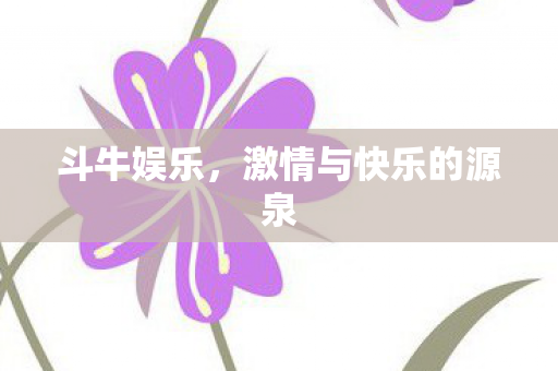 斗牛娱乐,激情与快乐的源泉 斗牛娱乐,激情与快乐的源泉