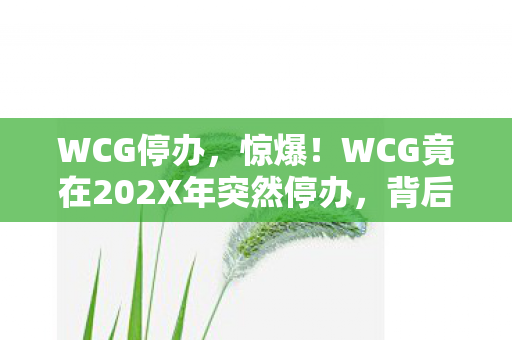 WCG竟在202X年突然停办图片