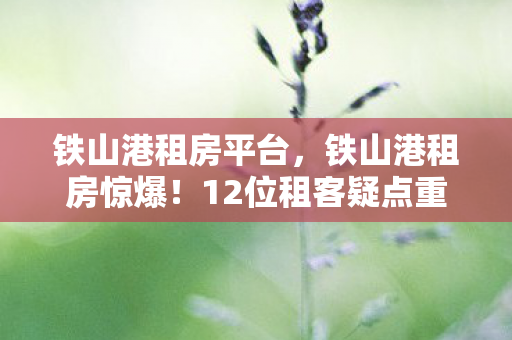 12位租客疑点重重图片
